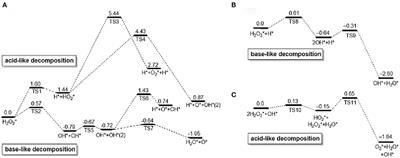 Enzyme-Like Properties of Gold Clusters for Biomedical Application